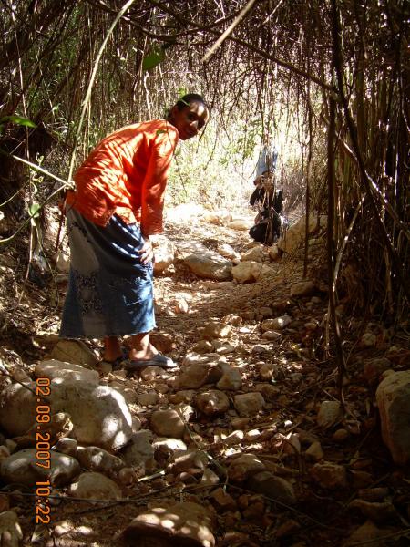 *_-_*_-_*_-_*_-_*_-_*